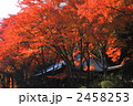 紅葉の中のお堂