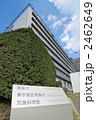 気象庁（d110308-042）
