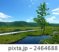 尾瀬国立公園　尾瀬ヶ原