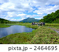 尾瀬国立公園　尾瀬ヶ原の池塘＆燧ケ岳