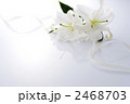 百合