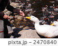 2470840