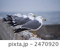 2470920