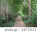 林道