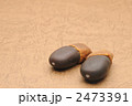 ストーンナッツ（緬茄菩提樹の豆）