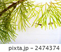 2474374