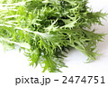 新鮮な水菜