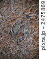 Bark design