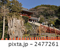 鶴岡八幡宮の大銀杏