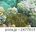 海中