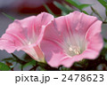 60090
