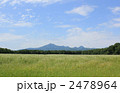 武佐岳と蕎麦畑