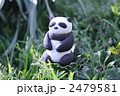 2479581