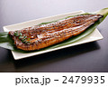 うなぎ蒲焼き