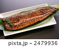 うなぎ蒲焼き