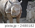 恐竜時代