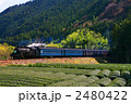 大井川鉄道SL列車
