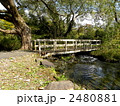五色沼付近の小川