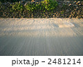 掃き清められた竹富島の白砂の道