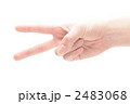 手