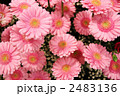 2483136
