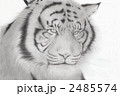 2485574