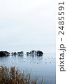 琵琶湖の冬景色