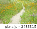 花の小径