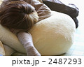 うたた寝