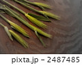 ムギ