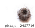 野鳥の巣