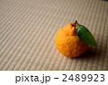 三宝柑