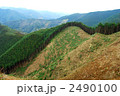 伐採中の杉山
