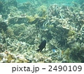 2490109
