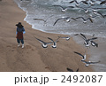 素材ナンバー 2492087 : 「無題」