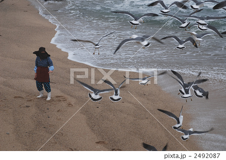 ウミネコ 海 人物