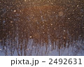 降雪