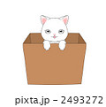 2493272