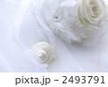 白薔薇と貝