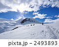 ネコハーバーでの山登り