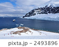 ネコハーバーの風景