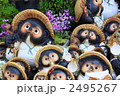 信楽の狸