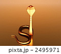 2495971