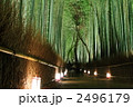 嵐山花灯路　竹林の小路