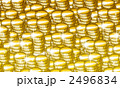 2496834