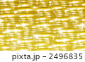 2496835