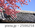 おかめ桜と瓦屋根
