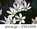 60508