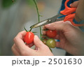 2501630