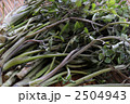 2504943